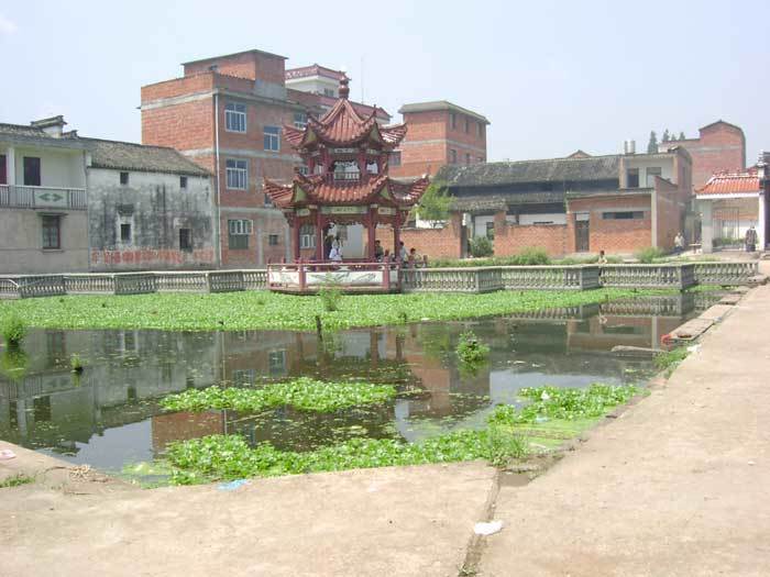 Overview of the pond