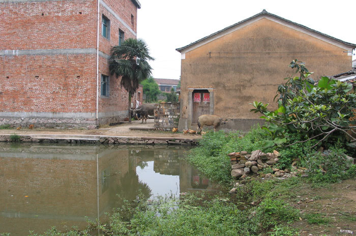 Back view-2 Back view-2