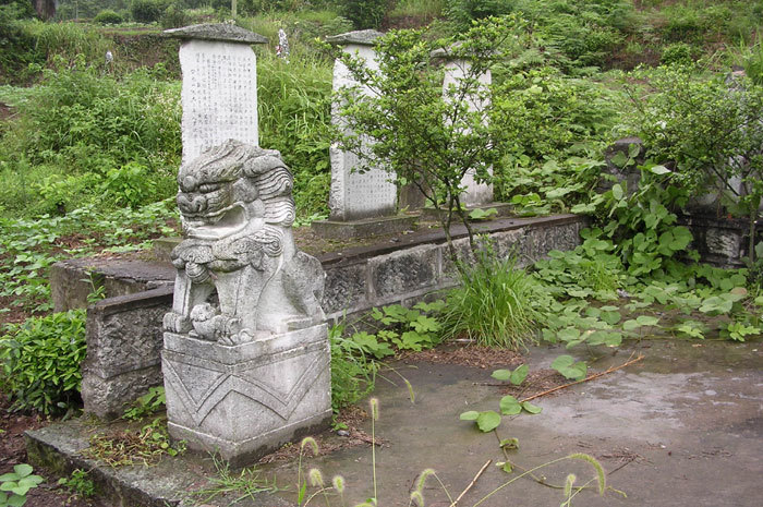 Steles and lion on left side of tomb