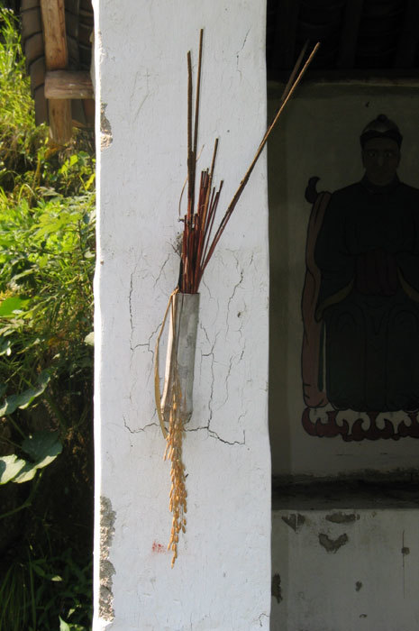 007978.jpg 007978.jpg