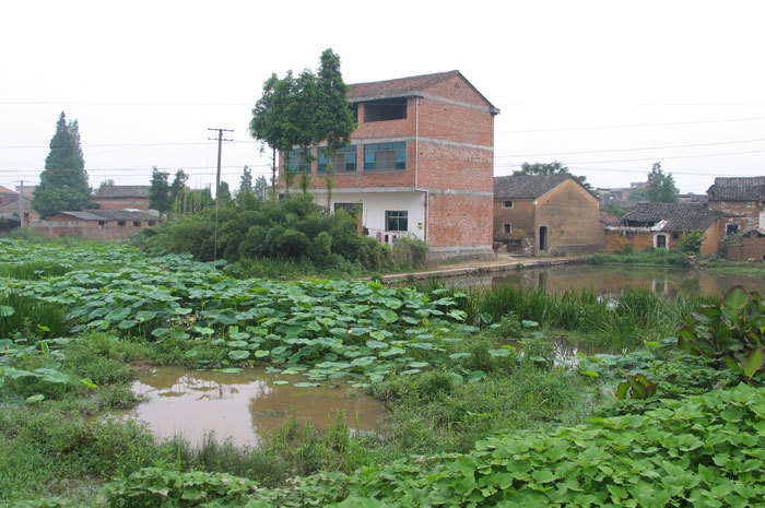 A nearby pond A nearby pond