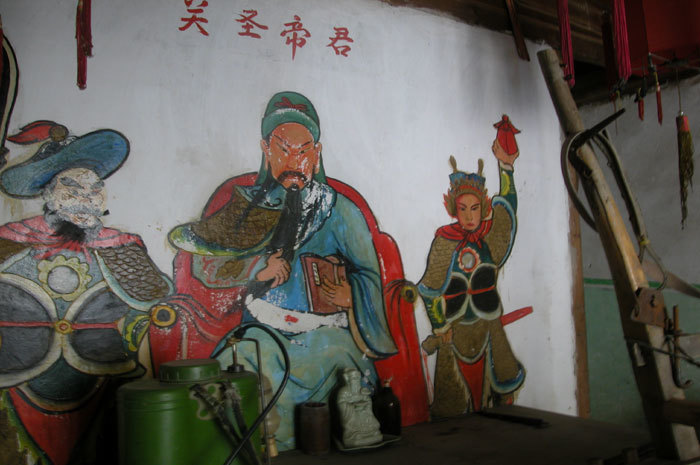 007950.jpg 007950.jpg