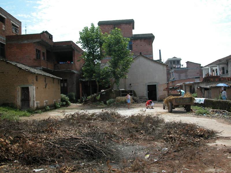 DSCN1331.JPG DSCN1331.JPG