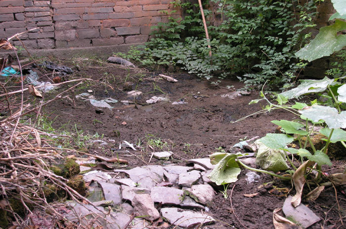 Mud pit - site of original pond that matched pond on the left-hand side Mud pit - site of original pond that matched pond on the left-hand side