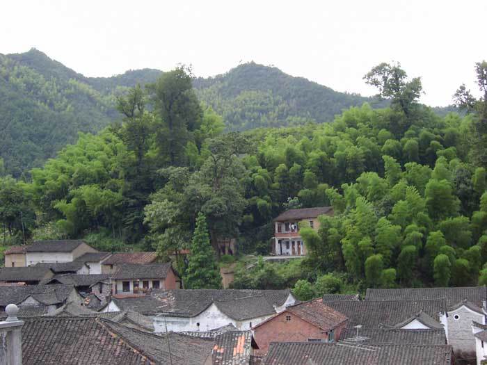 Another angle of the village