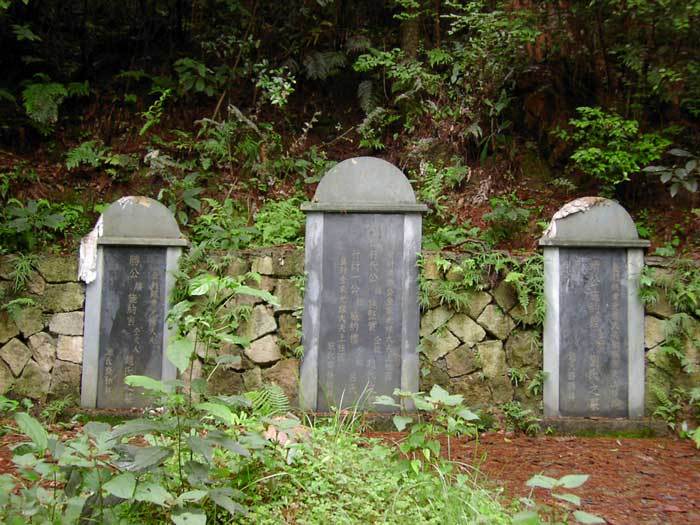 003608.jpg 003608.jpg