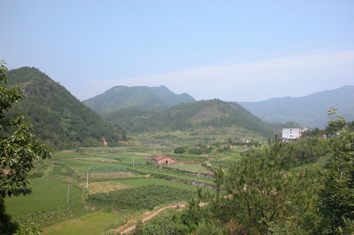 View of scenery from west side of the temple