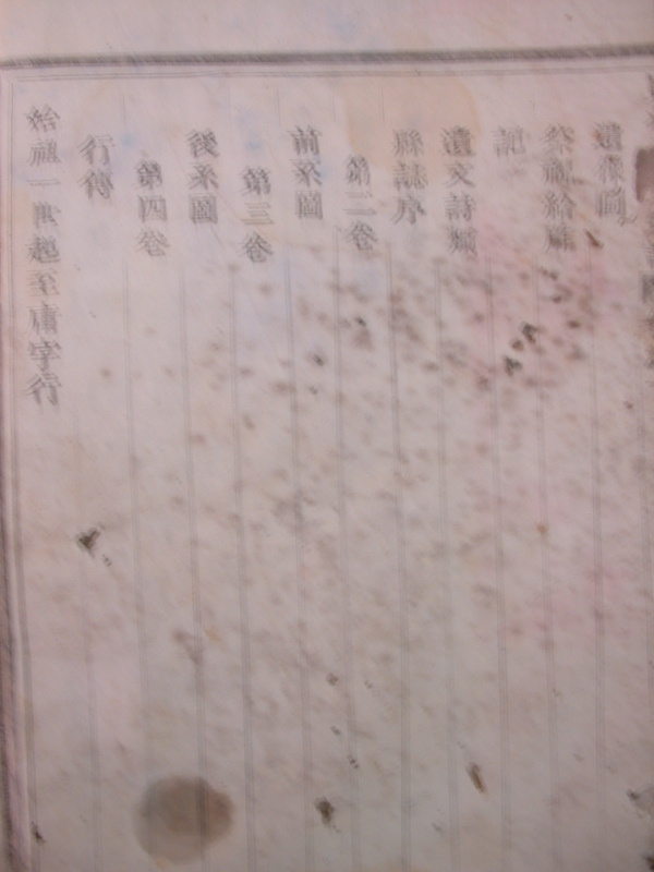 DSCN0581.JPG DSCN0581.JPG