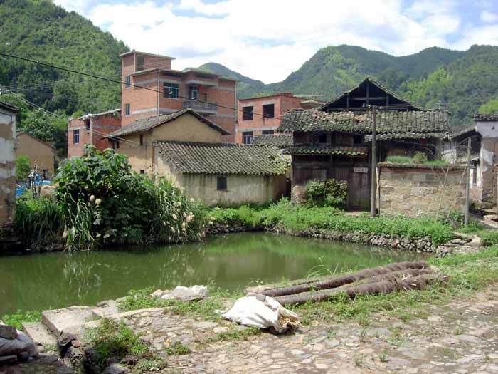 Pond in front of Community Hall