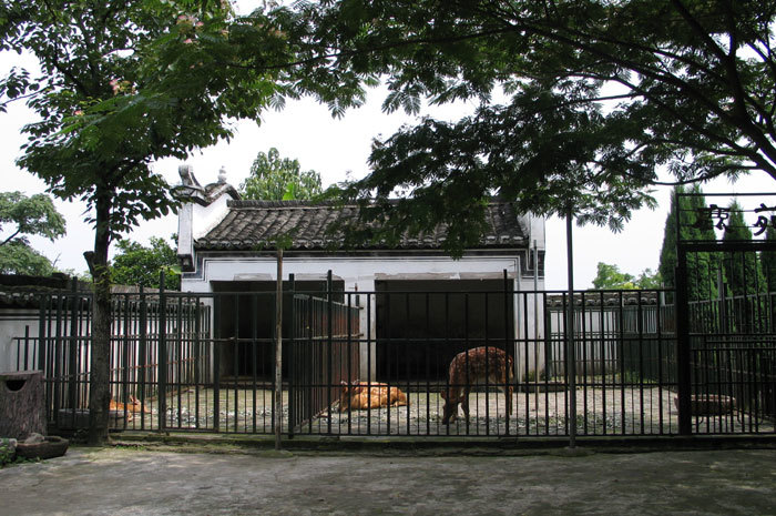 005802.jpg 005802.jpg