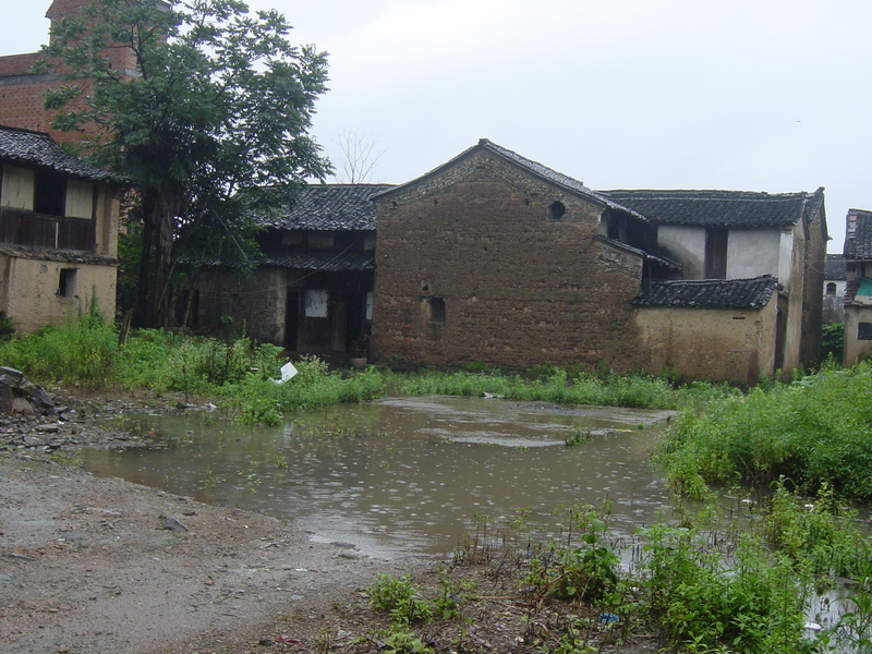 DSC00246.JPG DSC00246.JPG