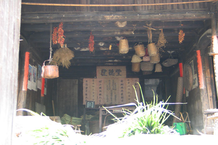 looking into home with dried corn4