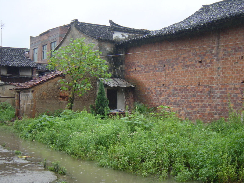 DSC00243.JPG DSC00243.JPG