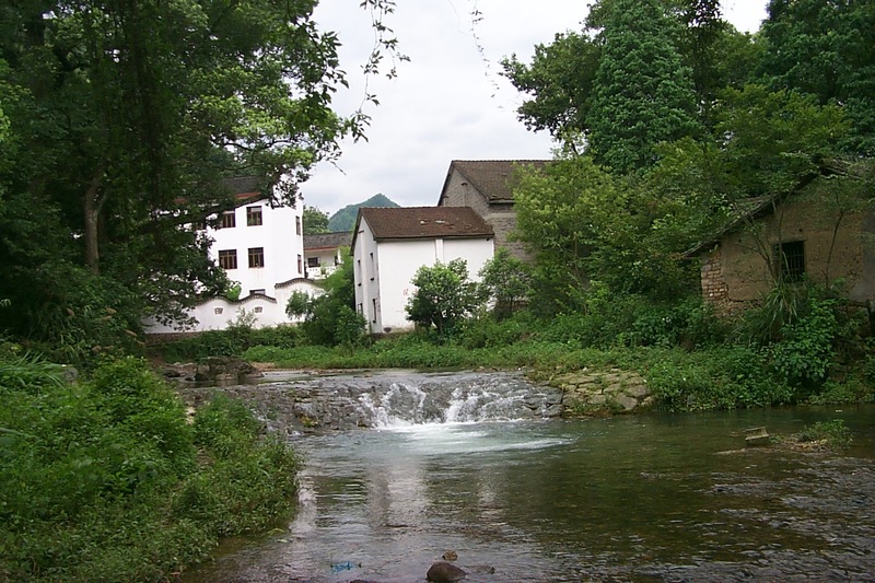 View of the river from the path