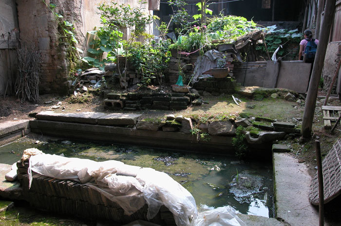 Pond on the left-hand side of the courtyard Pond on the left-hand side of the courtyard