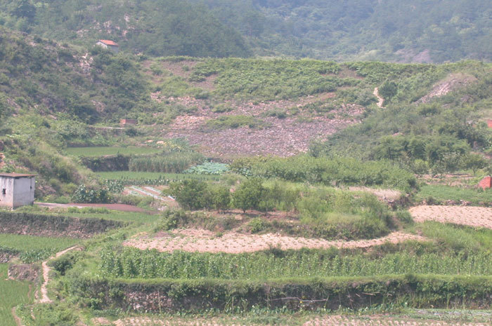 Closeup of former location of temple; orchard on raised ground