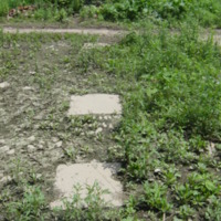 Column bases of old building #7