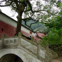 Dreaming of Immortals Bridge