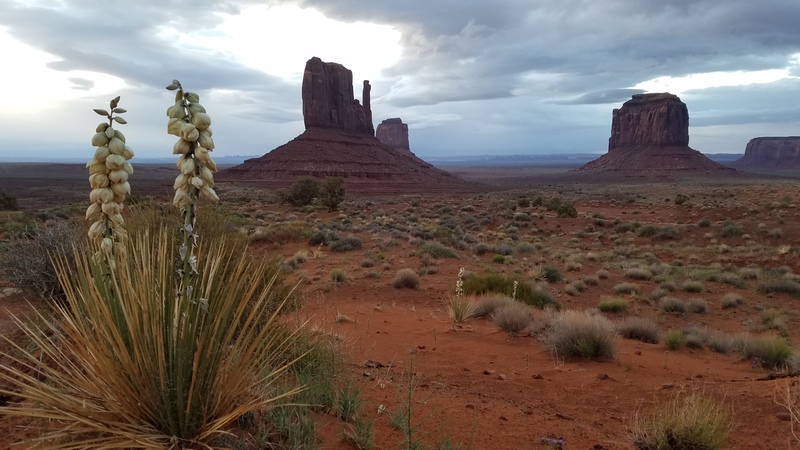 20190522_063225.jpg