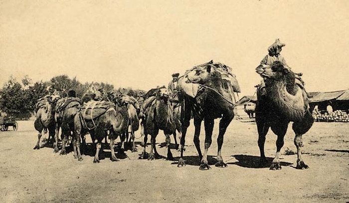 SilkRoadAtlas.jpg SilkRoadAtlas.jpg