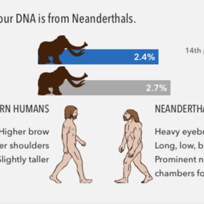 2.4% Neanderthal.png