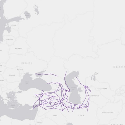 Nova Maris Caspii (1730s) Roads