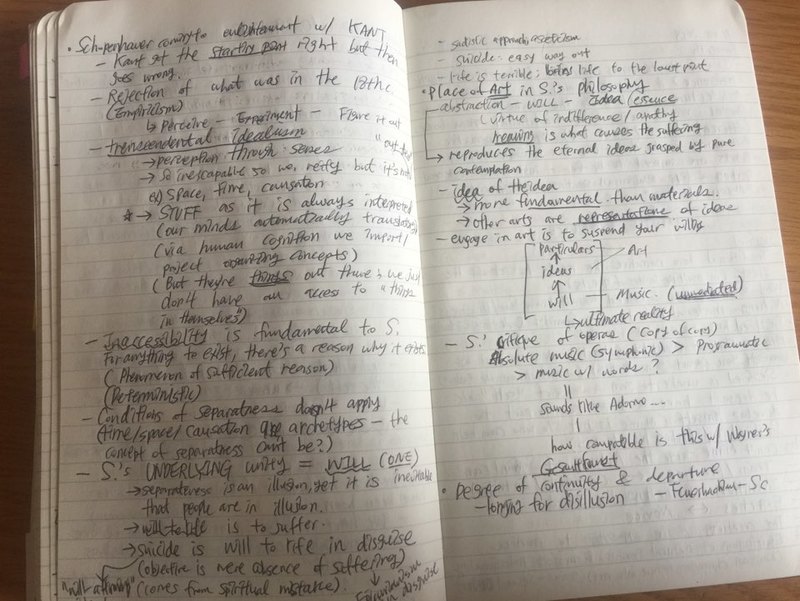 Understanding Wagner photo.jpeg