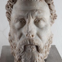 bearded man.jpg