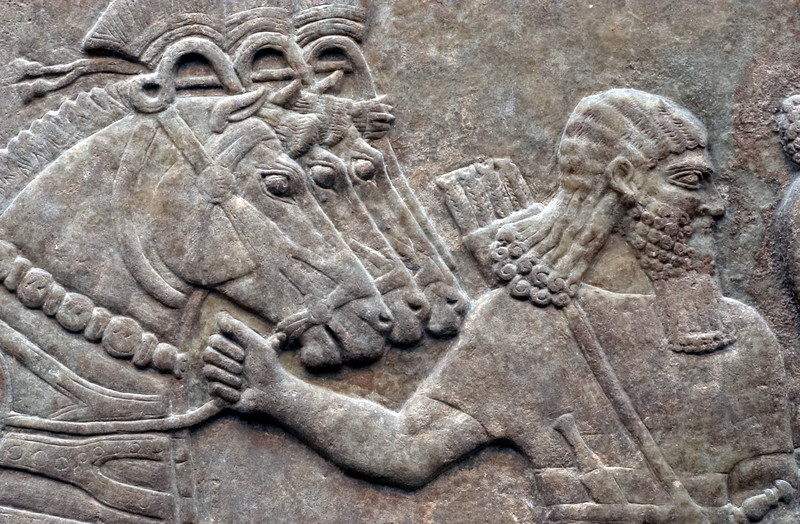 Nimrud_Palace_Reliefs_2.jpg