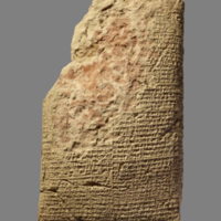 BM_13901_Reverse.jpg