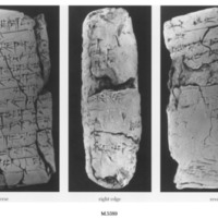 A Letter to Yasmakh-Adad Concerning a Potential Marriage Candidate.png