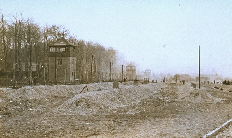Colored view of Buchenwald after liberation.jpeg