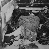 Corpses Liberation.jpeg