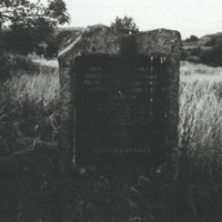 Screen Shot 2020-05-08 at 1.36.39 PM.png