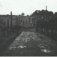 Screen Shot 2020-05-08 at 1.30.28 PM.png