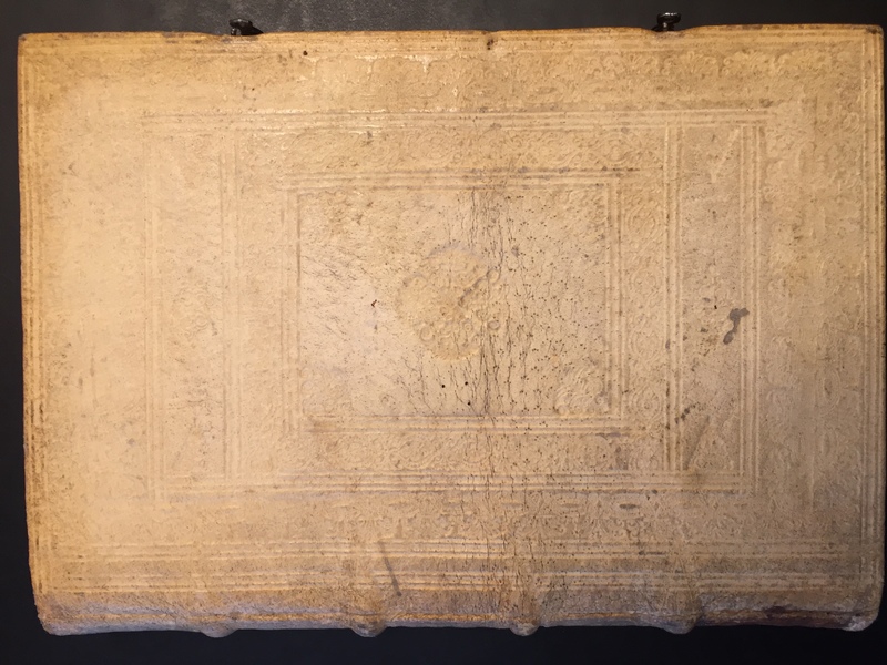 IMG_3461.JPG IMG_3461.JPG