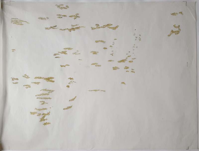 2016-10-18 10.50.14.jpg