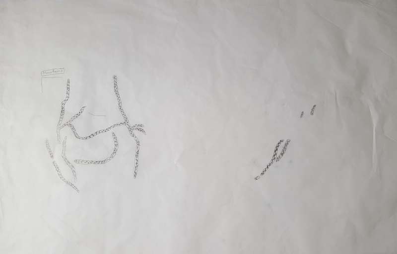 2016-10-18 11.14.41.jpg