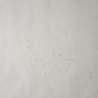 2016-10-18 11.17.40.jpg