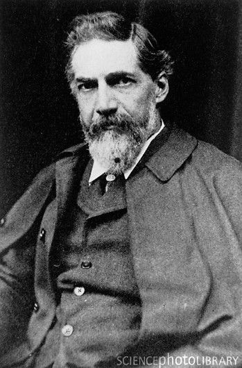 FLINDERS PETRIE.jpg