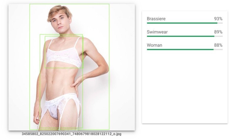 googlevision xdress.jpg