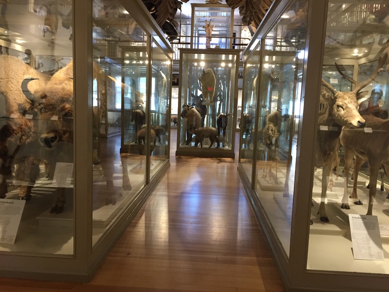 front of museum.JPG front of museum.JPG