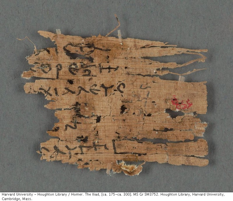 houghton iliad.jpeg