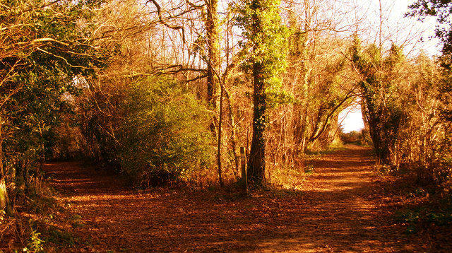 Two Paths.jpg Two Paths.jpg