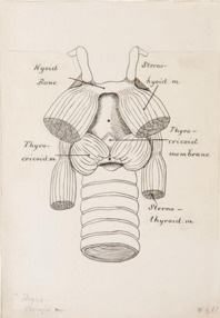 Screen Shot 2016-04-17 at 11.25.39 PM.png