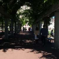 http://dighist.fas.harvard.edu/courses/2015/HUM54/files/original/83b7b8cd84b71428ece7f62ec7257766.JPG