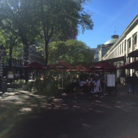 http://dighist.fas.harvard.edu/courses/2015/HUM54/files/original/811a44b643f3c519230c46f4804d377e.JPG