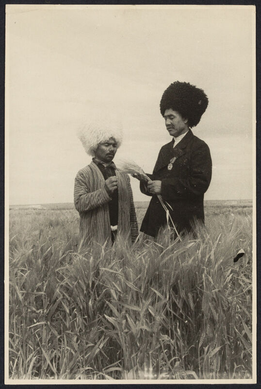 SIB_3464.jpg SIB_3464.jpg