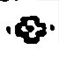 https://iiif.omeka.fas.harvard.edu/loris/atg-prod-oaas-files/imperiia/original/6cb35c04604c9df314407f43cea83c70.jpg/3570,3599,67,65/full/0/default.jpg