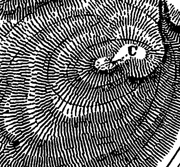 https://iiif.omeka.fas.harvard.edu/loris/atg-prod-oaas-files/imperiia/original/6a400219cb6c1398d1a6dd838d50228a.jpg/3169,2278,610,567/full/0/default.jpg